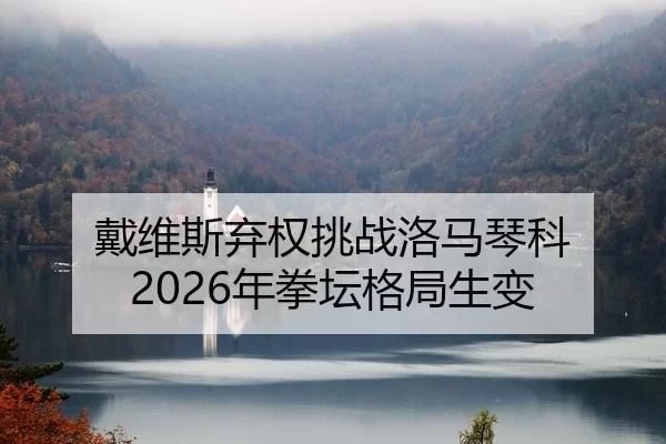 戴维斯弃权挑战洛马琴科 2026年拳坛格局生变