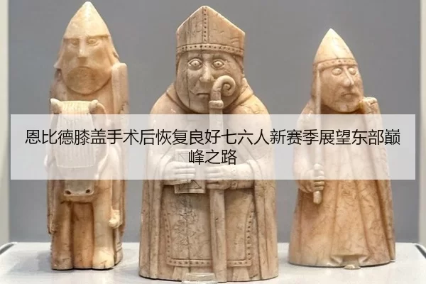 en-bi-de-xi-gai-shou-shu-hou-hui-fu-liang-hao-qi-liu-ren-xin-sai-ji-zhan-wang-dong-bu-dian-feng-zhi-lu-3-466.jpg